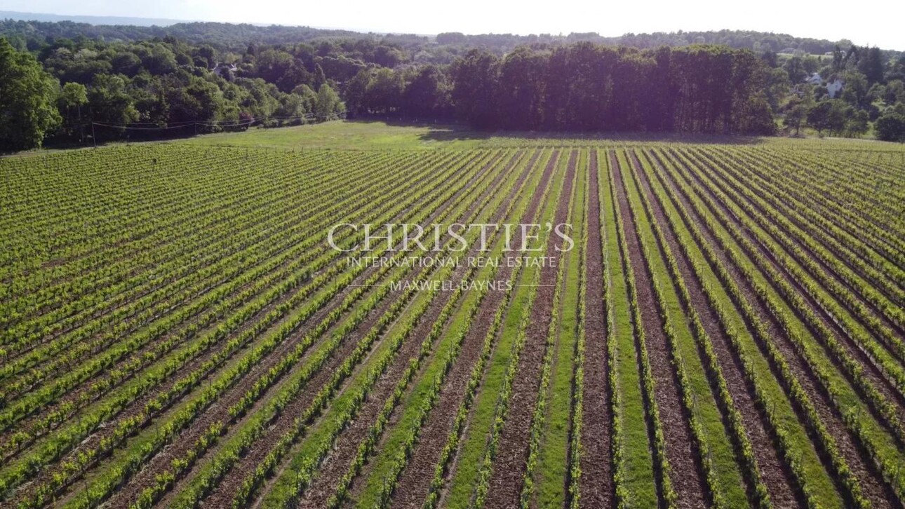Photos 3 - Viticole - A vendre - Vignoble en AOC Pécharmant et Rosette