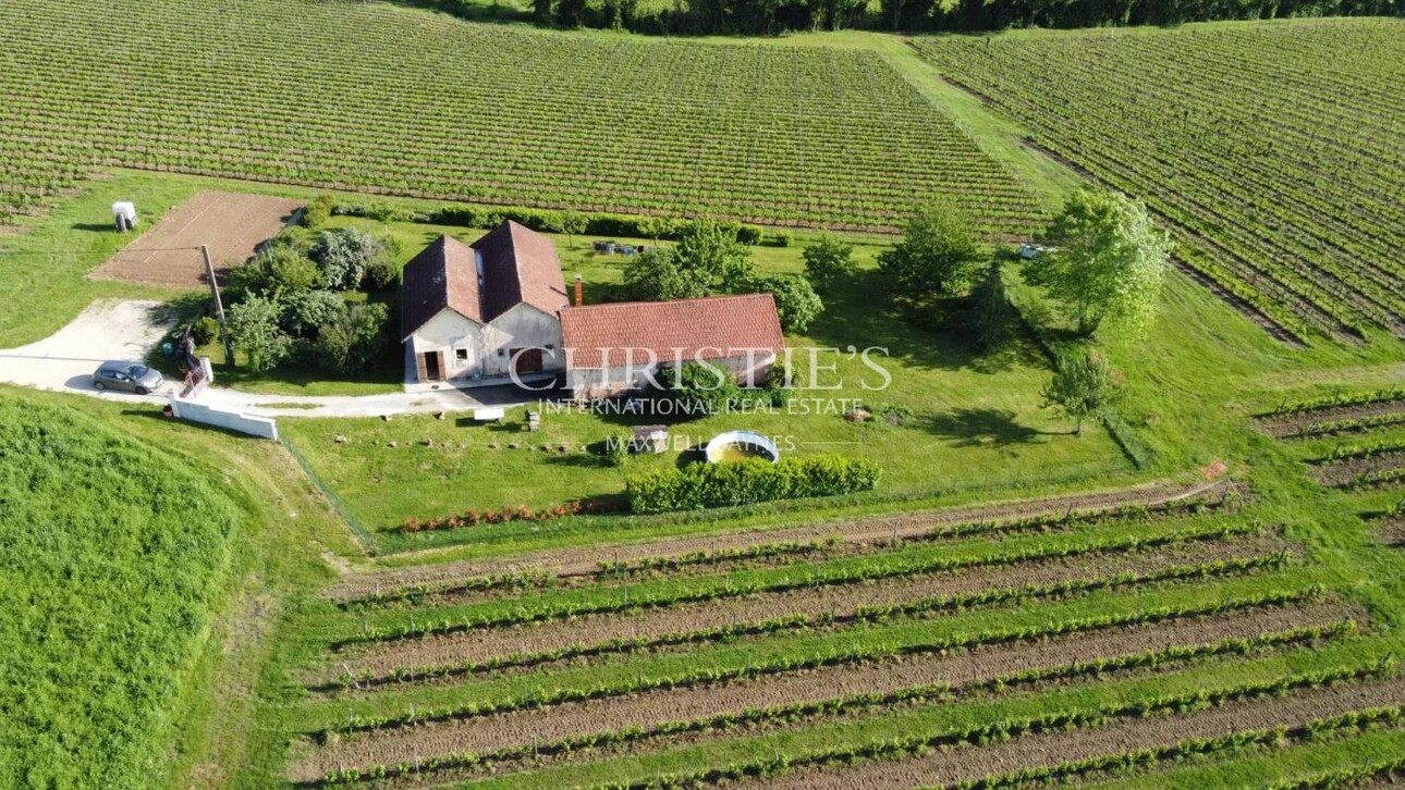 Photos 7 - Viticole - A vendre - Vignoble en AOC Pécharmant et Rosette