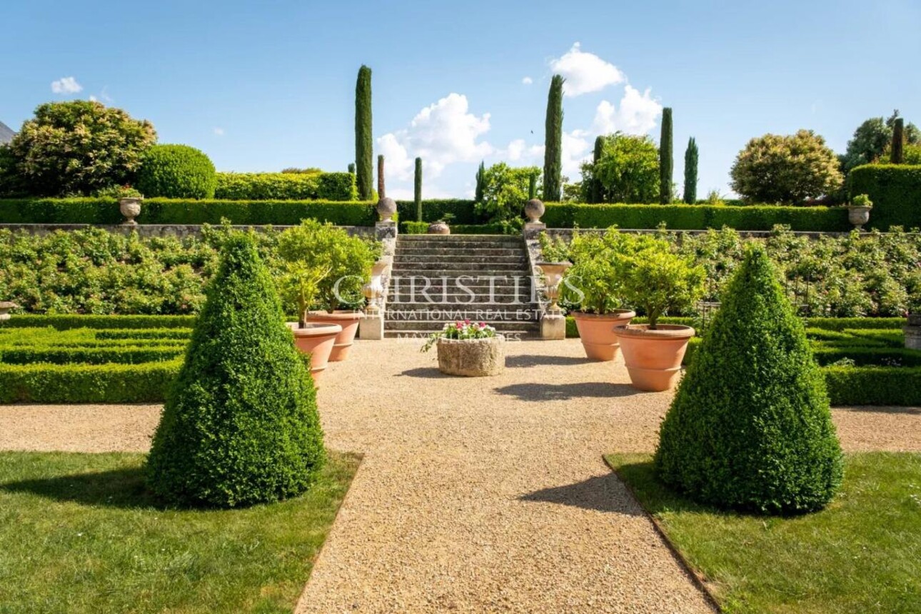 Photos 19 - Vineyard - Magnificent manor with extensive park and vineyard