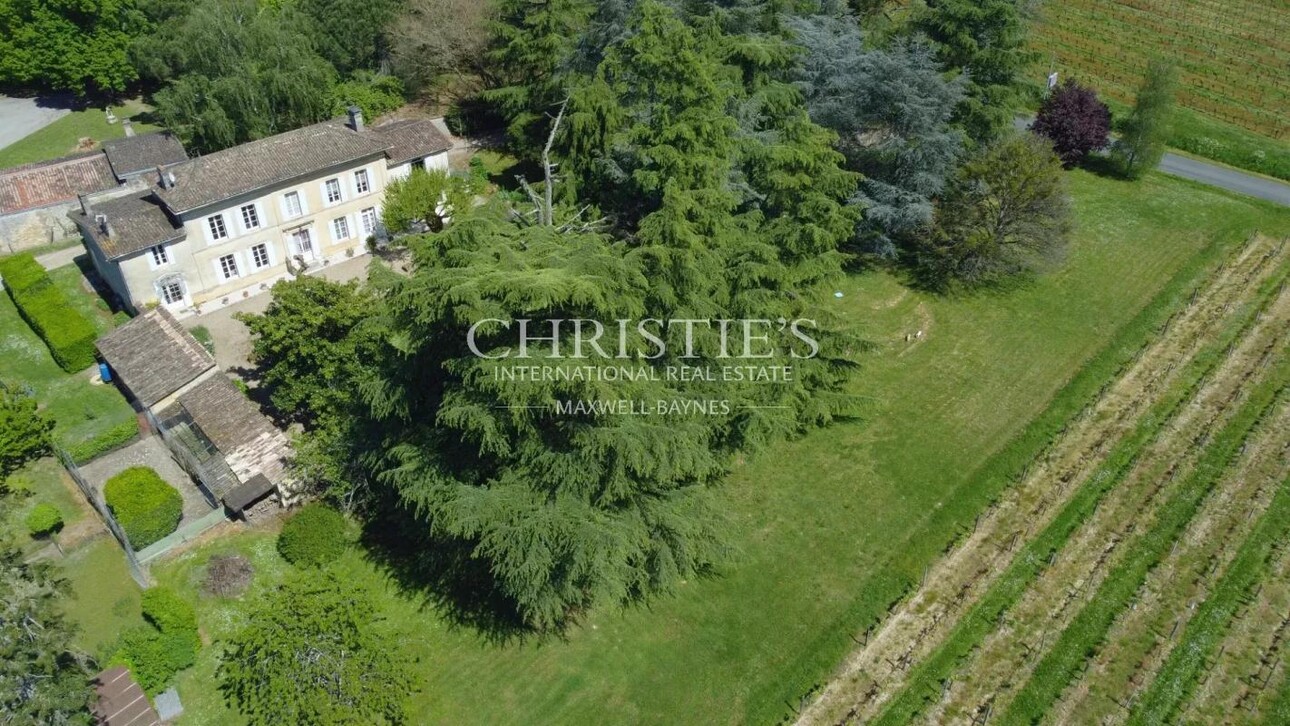 Photos 1 - Vineyard - Attractive 10-hectare vineyard estate with 2 houses - AOC Castillon Côtes de Bordeaux