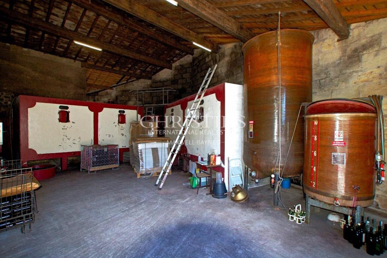 Photos 8 - Vineyard - Attractive 10-hectare vineyard estate with 2 houses - AOC Castillon Côtes de Bordeaux