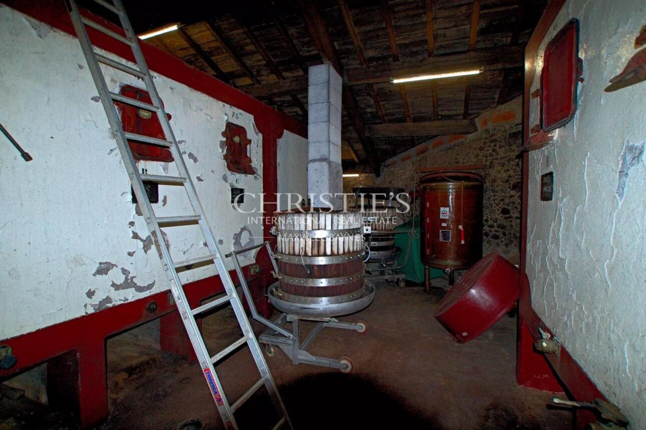 Photos 9 - Vineyard - Attractive 10-hectare vineyard estate with 2 houses - AOC Castillon Côtes de Bordeaux