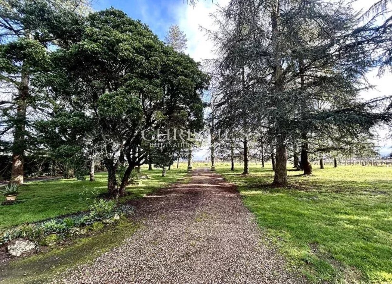 Photos 10 - Vineyard - Attractive 10-hectare vineyard estate with 2 houses - AOC Castillon Côtes de Bordeaux