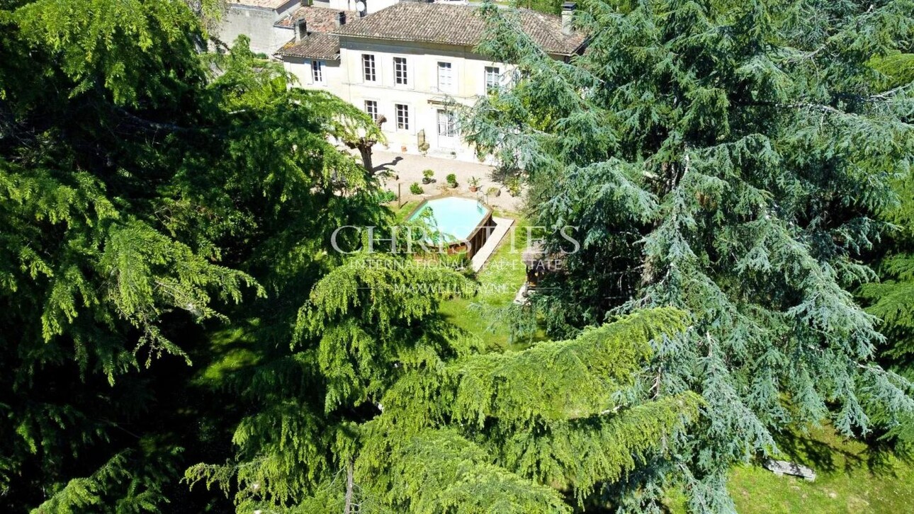 Photos 11 - Vineyard - Attractive 10-hectare vineyard estate with 2 houses - AOC Castillon Côtes de Bordeaux