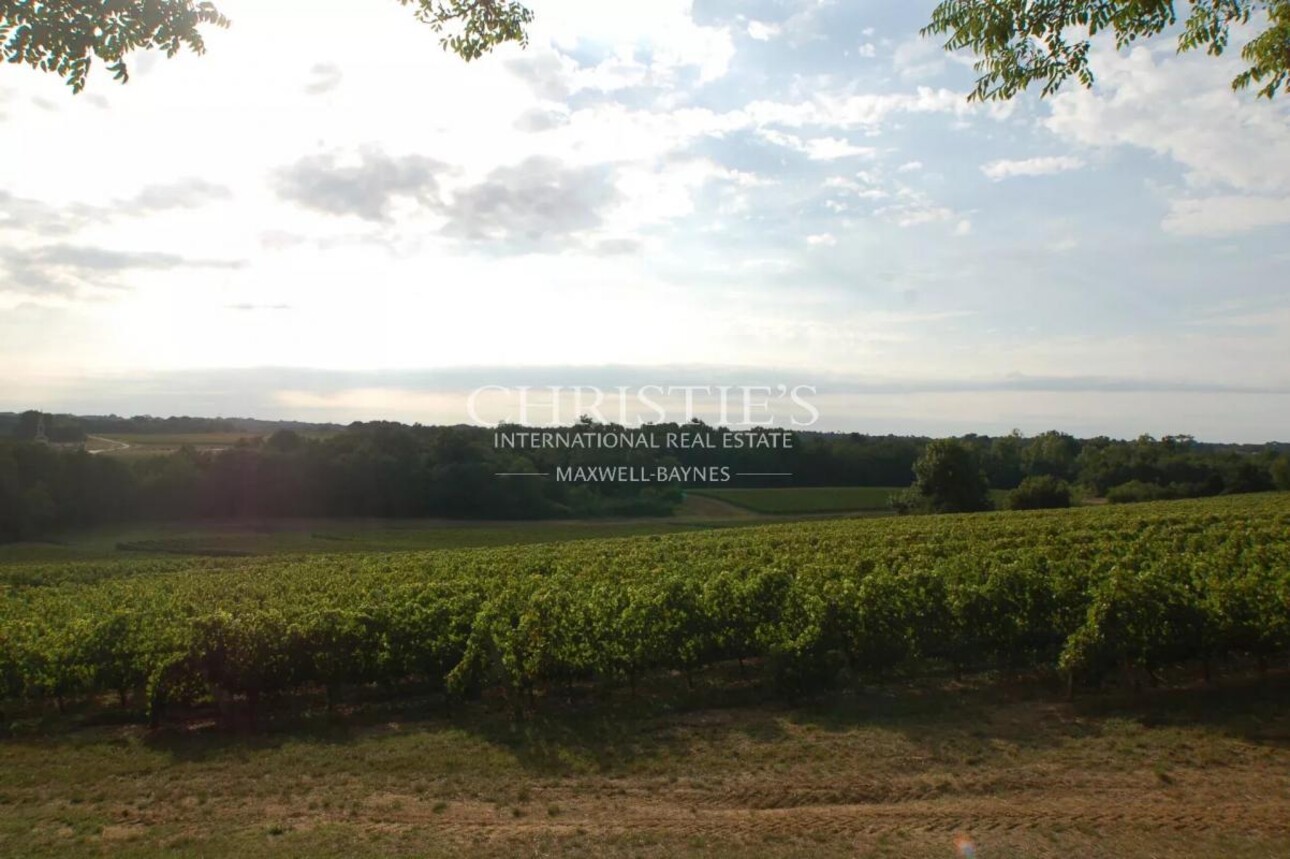 Photos 10 - Viticole - A vendre belle propriété de 18 ha avec une position dominante - Top terroir - A 35 mn de Bordeaux