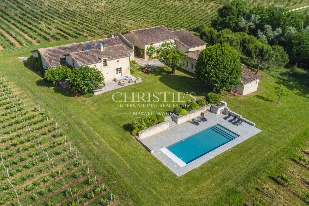 Photos 3 - Vineyard - Two fully renovated stone homes with hobby vineyard near Saint-Emilion