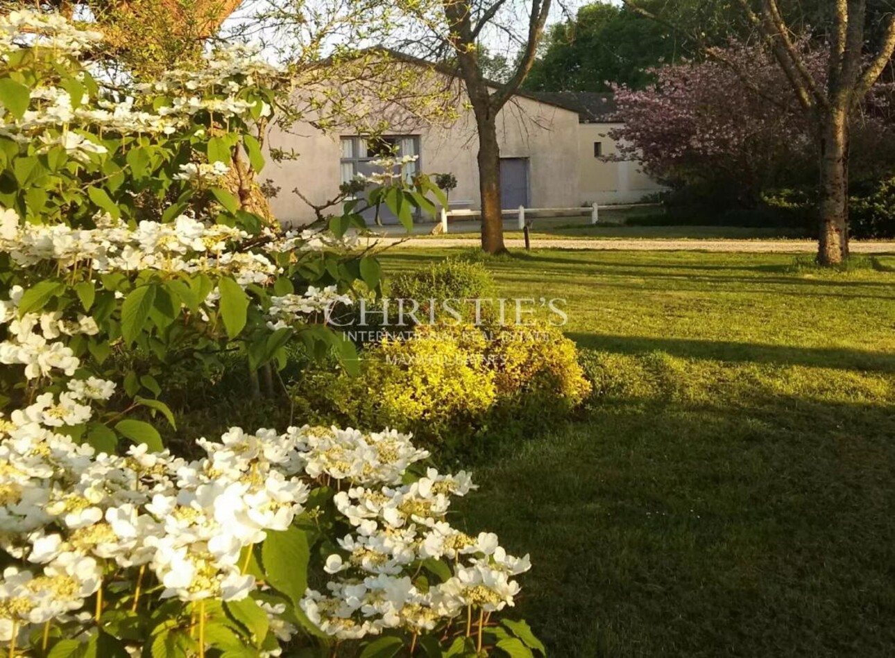 Photos 3 - Vineyard - Wine estate north of the Médoc - Well maintained - Charming Girondine - Top-quality farm buildings