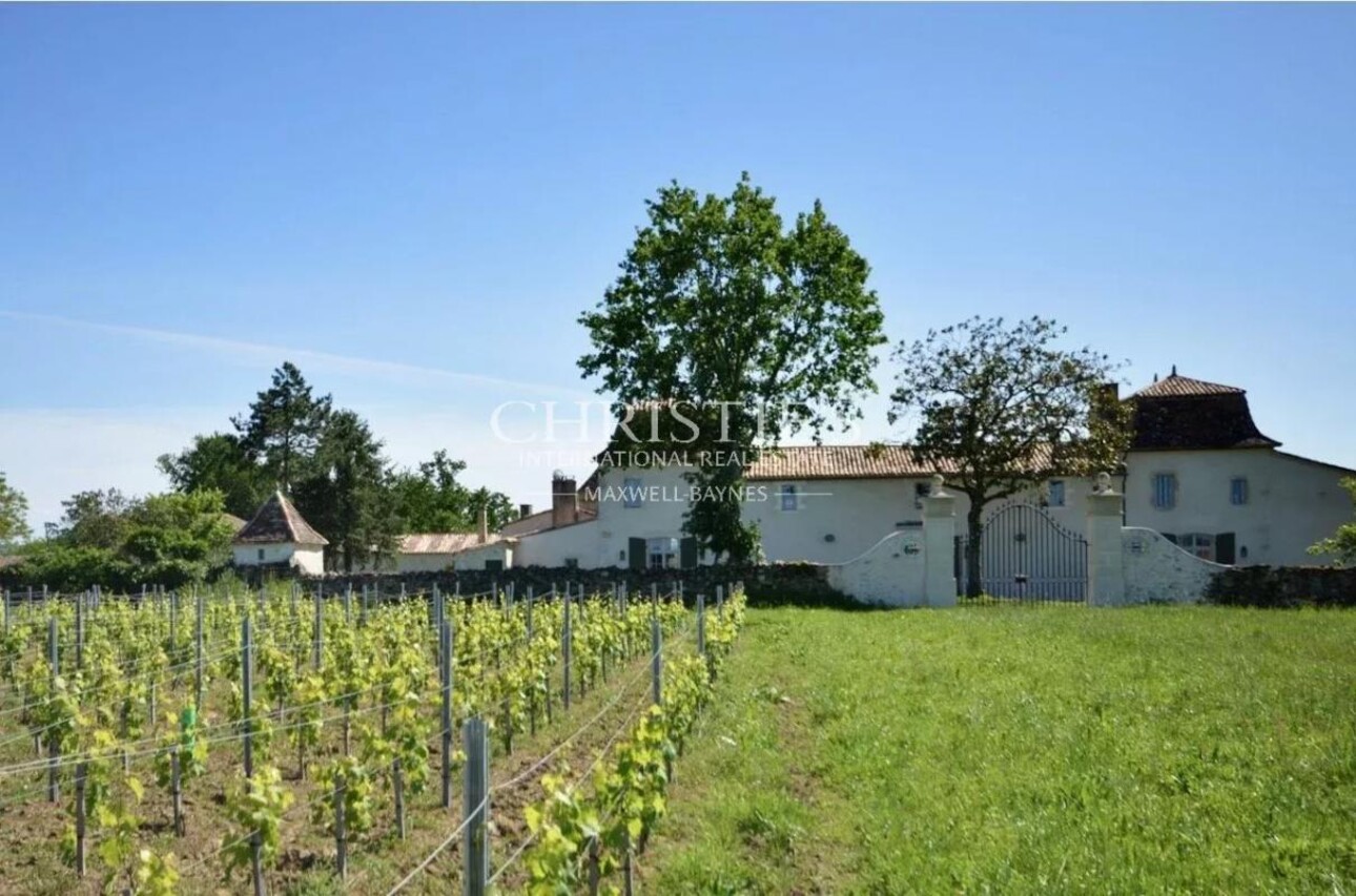 Photos 5 - Vineyard - Sumptuous Chartreuse estate with vineyard near Saint-Emilion