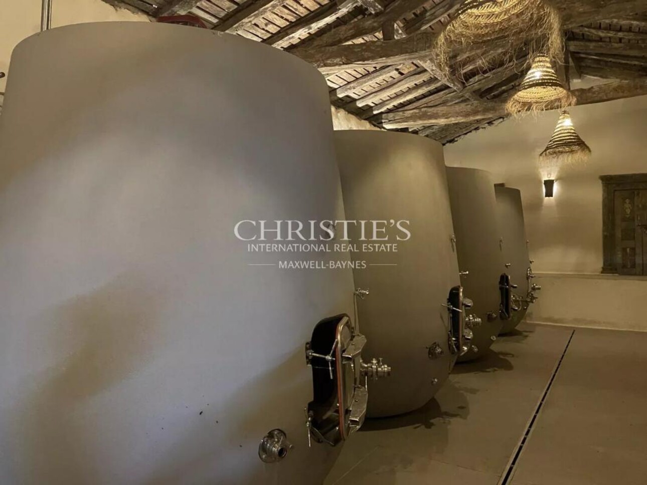 Photos 22 - Vineyard - Sumptuous Chartreuse estate with vineyard near Saint-Emilion