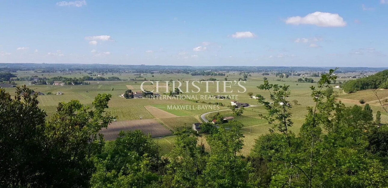 Photos 1 - Vineyard - Beautiful vineyard estate of 1 ha in AOP Saint-Emilion for sale