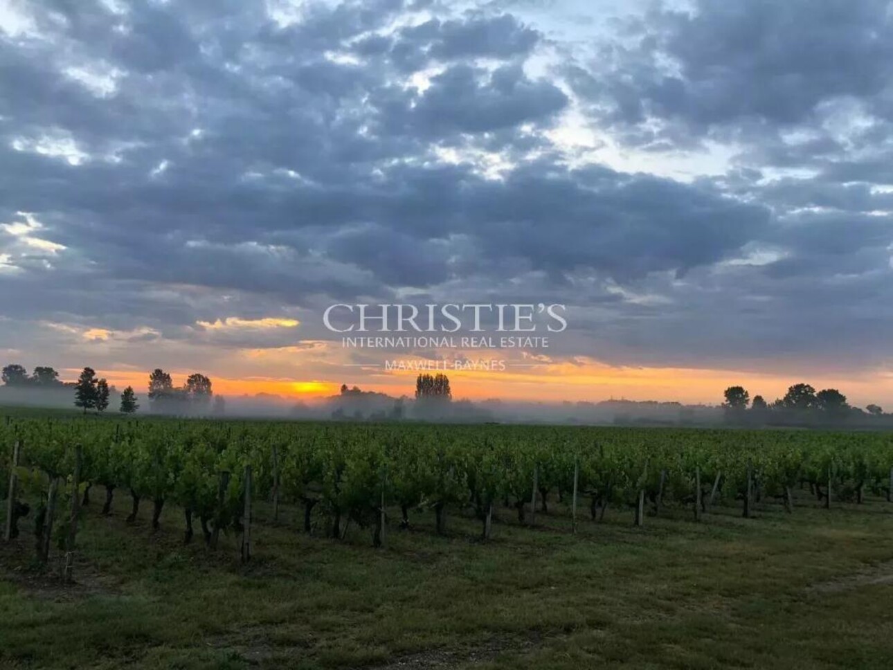 Photos 11 - Prestigious - Lovely vineyard estate for sale set up on 11 ha with 3 ha of vine.