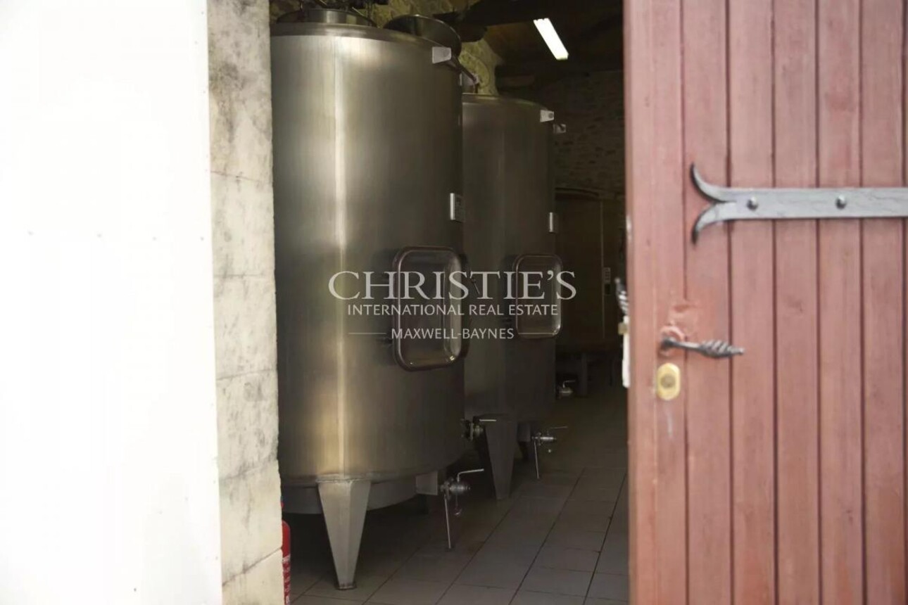 Photos 13 - Vineyard - Attractive hobby vineyard estate for sale with 1 ha AOC Médoc