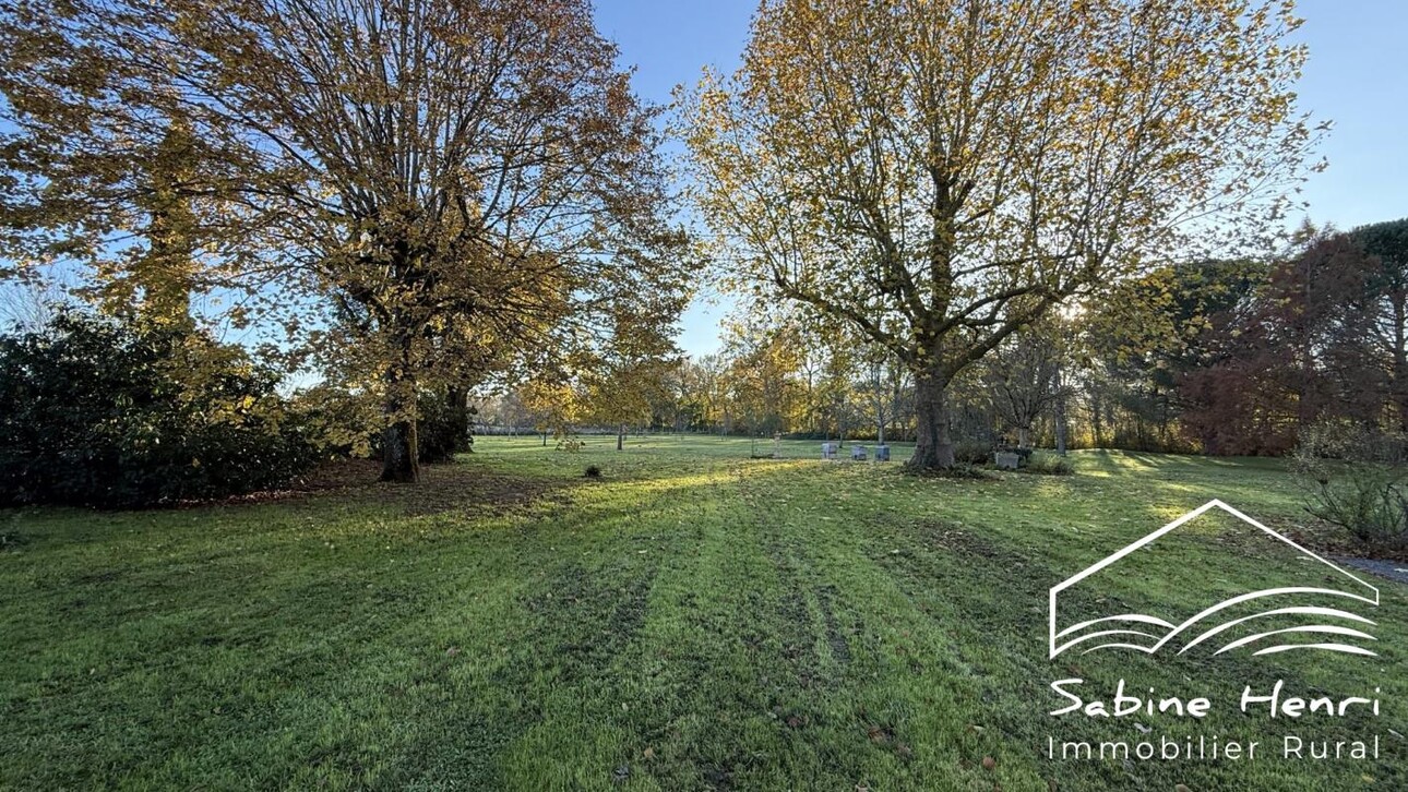 Photos 26 - Prestige - Belle propriété avec 2 gîtes sur plus de 1,2 hectares