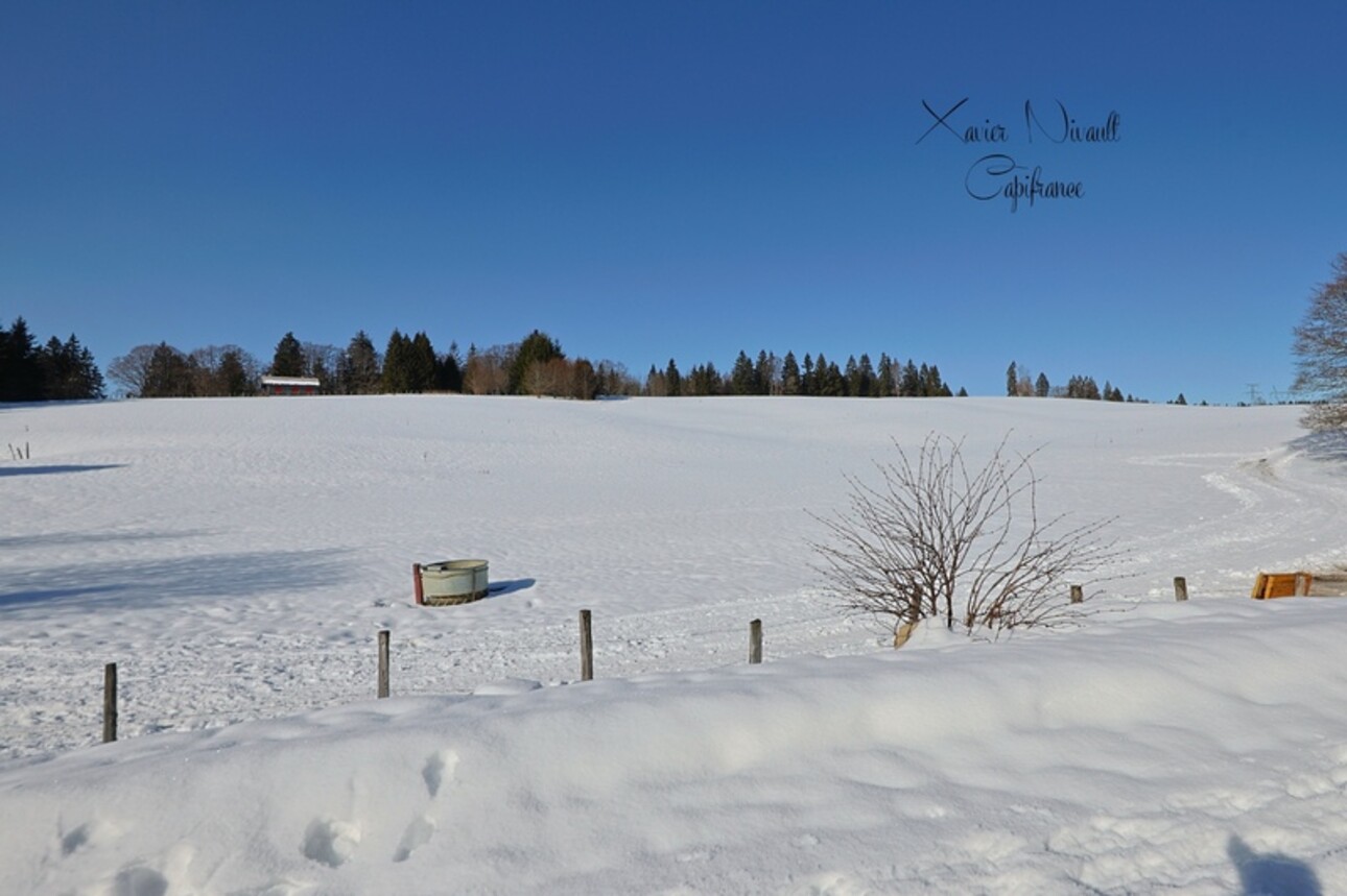 Photos 26 - Touristique - Propriete à vendre 15 pièces LE GRAND ABERGEMENT (01)