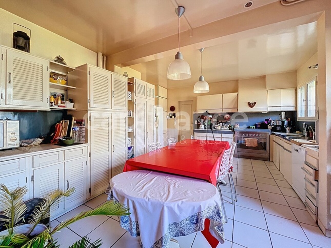 Photos 6 - Prestigious - Property in SAINT BRANCHS 30 minutes from Tours