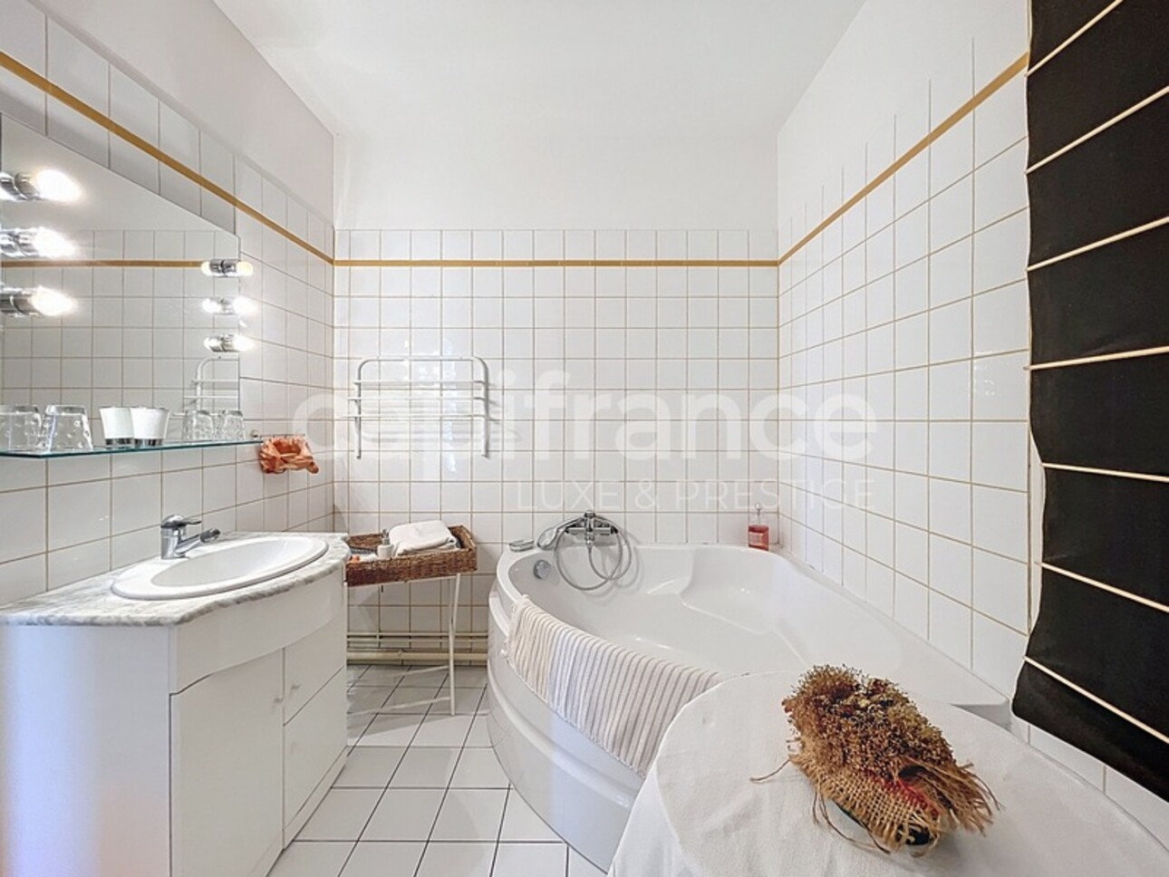 Photos 8 - Prestigious - Property in SAINT BRANCHS 30 minutes from Tours