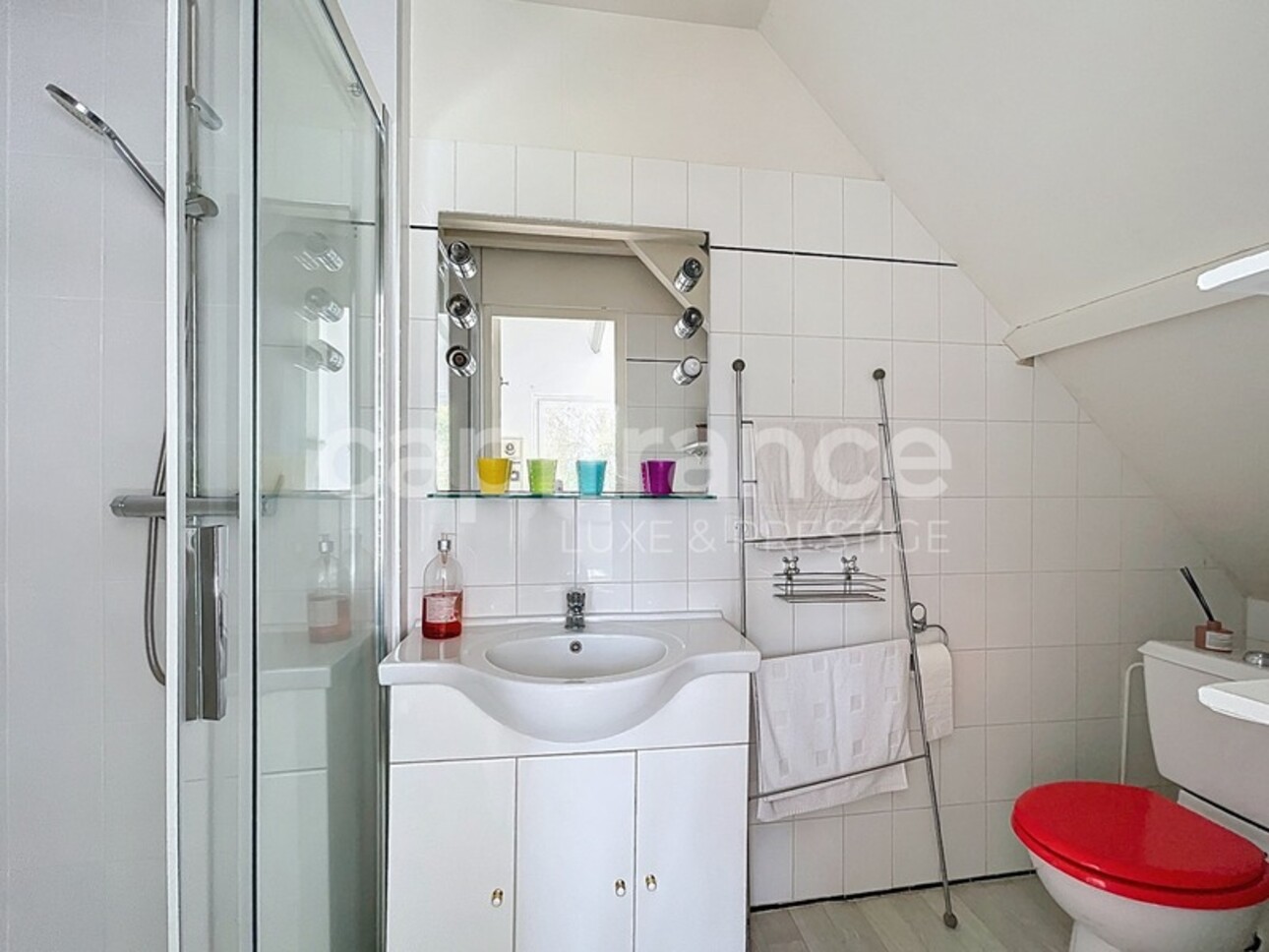 Photos 15 - Prestigious - Property in SAINT BRANCHS 30 minutes from Tours