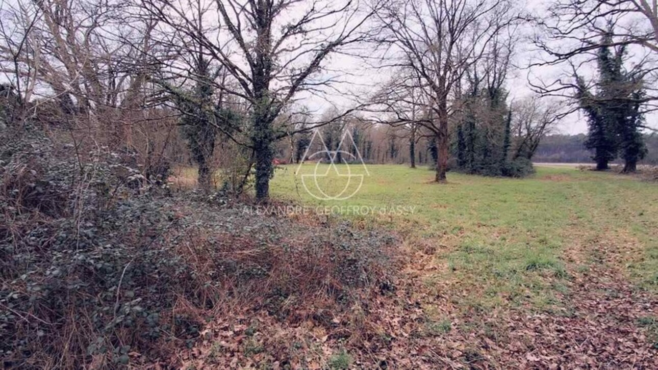 Photos 3 - Forestière - Propriété de chasse en Sologne s'étendant sur 84 hectares. A 15 minutes de Romorantin