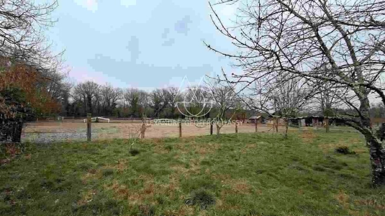 Photos 4 - Forestière - Propriété de chasse en Sologne s'étendant sur 84 hectares. A 15 minutes de Romorantin