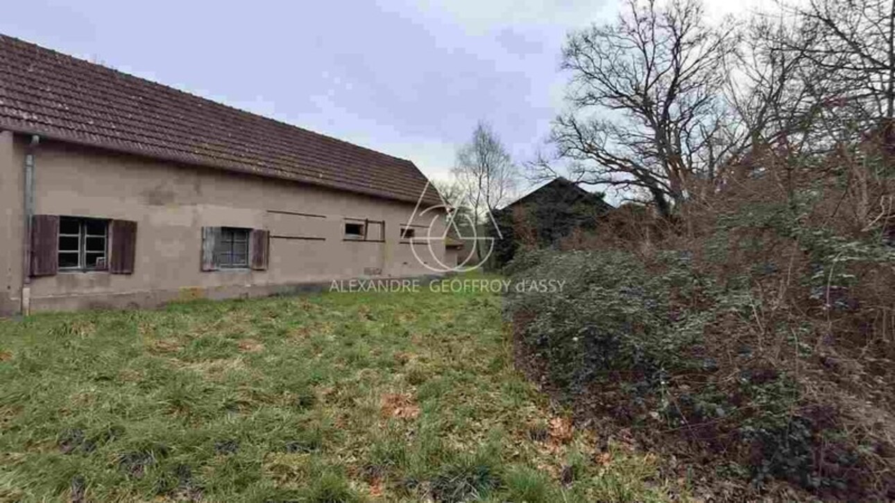 Photos 14 - Forestière - Propriété de chasse en Sologne s'étendant sur 84 hectares. A 15 minutes de Romorantin