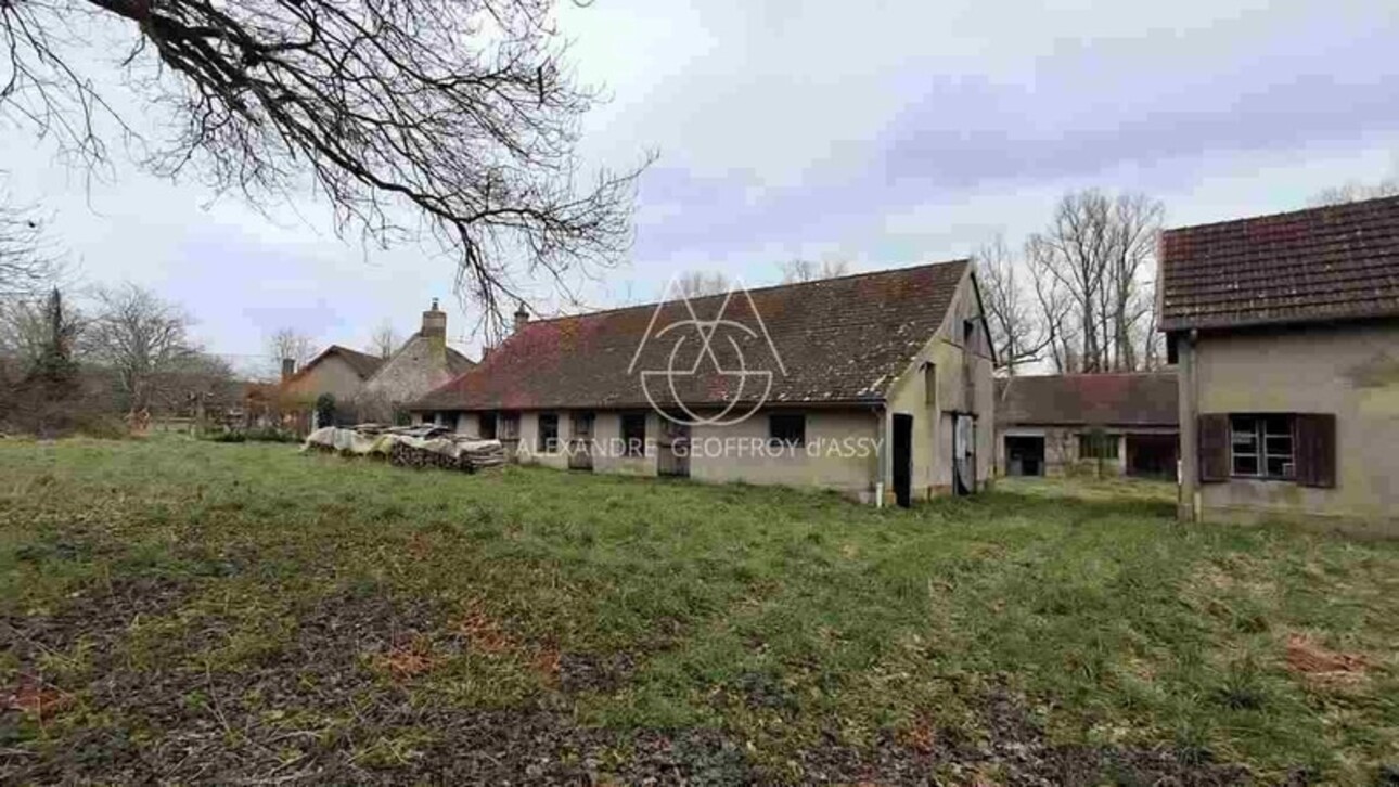 Photos 18 - Forestière - Propriété de chasse en Sologne s'étendant sur 84 hectares. A 15 minutes de Romorantin