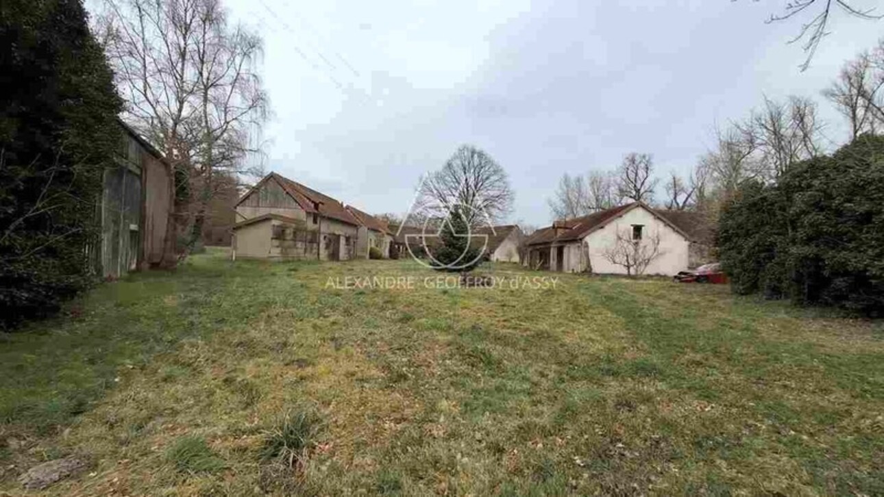 Photos 20 - Forestière - Propriété de chasse en Sologne s'étendant sur 84 hectares. A 15 minutes de Romorantin