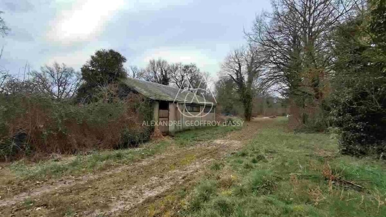 Photos 21 - Forestière - Propriété de chasse en Sologne s'étendant sur 84 hectares. A 15 minutes de Romorantin