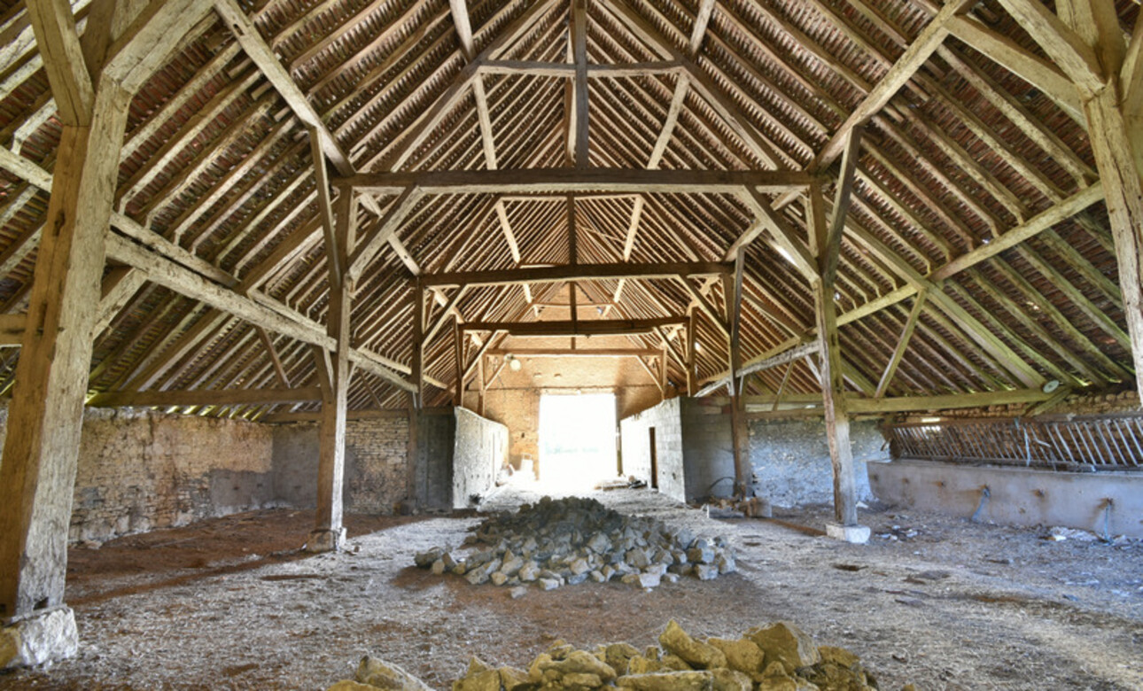 Photos 6 - Prestigious - Property of 8074 m², former outbuildings of the Château d'OUROUER for sale OUROUER LES BOURDELINS (1