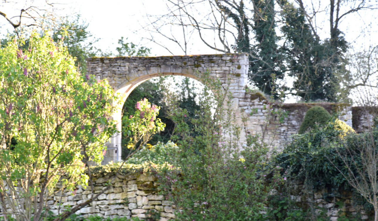 Photos 10 - Prestigious - Property of 8074 m², former outbuildings of the Château d'OUROUER for sale OUROUER LES BOURDELINS (1