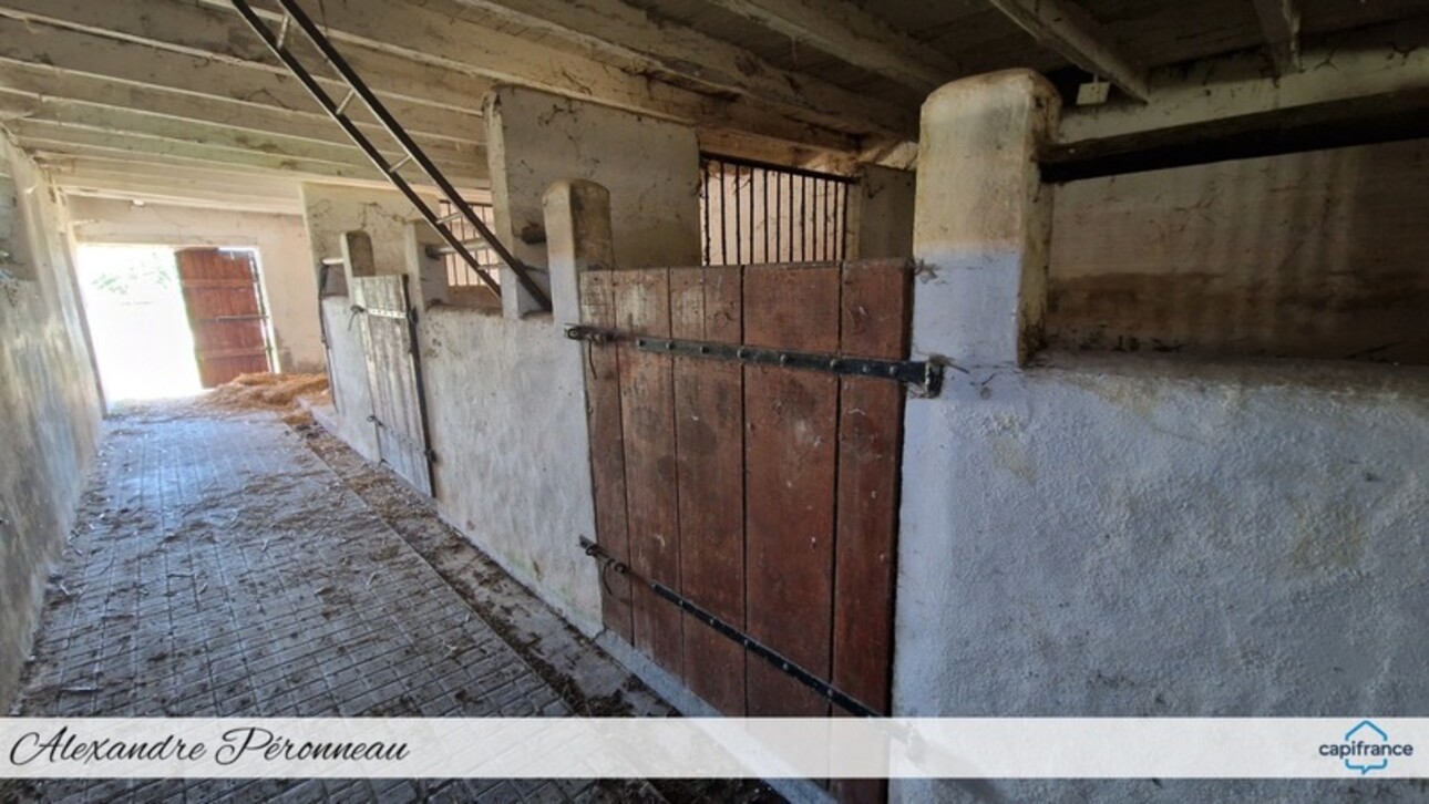 Photos 12 - Equestrian - ENSEMBLE IMMOBILIER avec MANOIR 19éme, maison, gites et dépendances