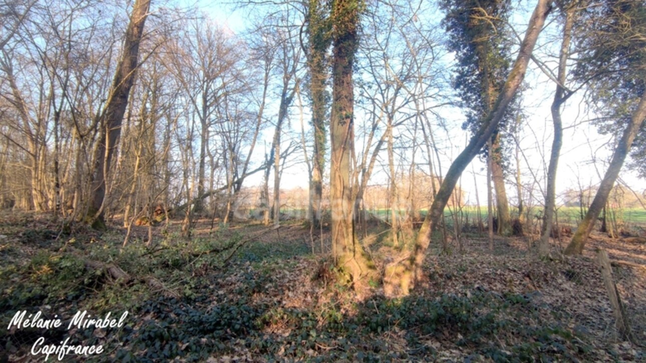 Photos 2 - Foncière - Terrain de loisir à vendre SYLVAINS LES MOULINS (27)