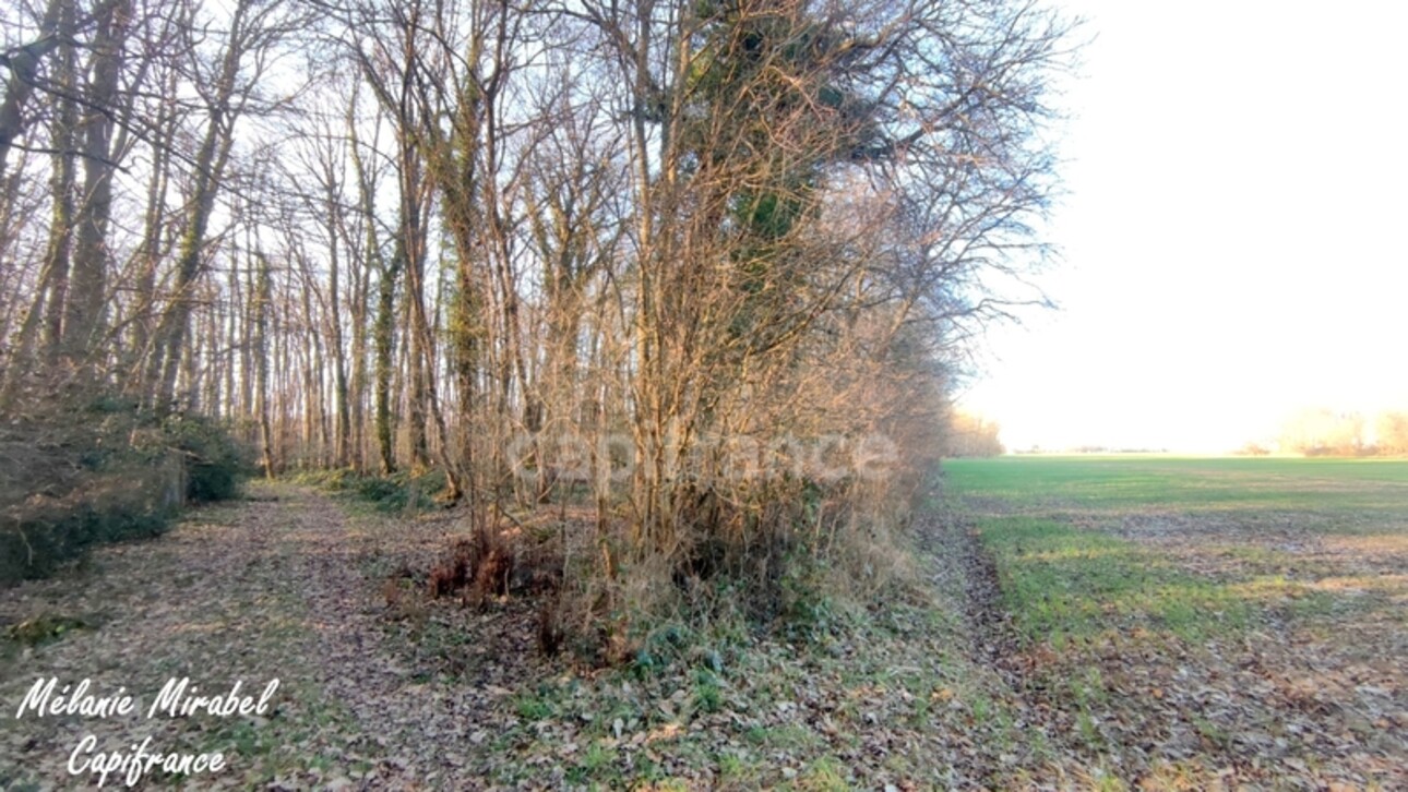 Photos 3 - Foncière - Terrain de loisir à vendre SYLVAINS LES MOULINS (27)