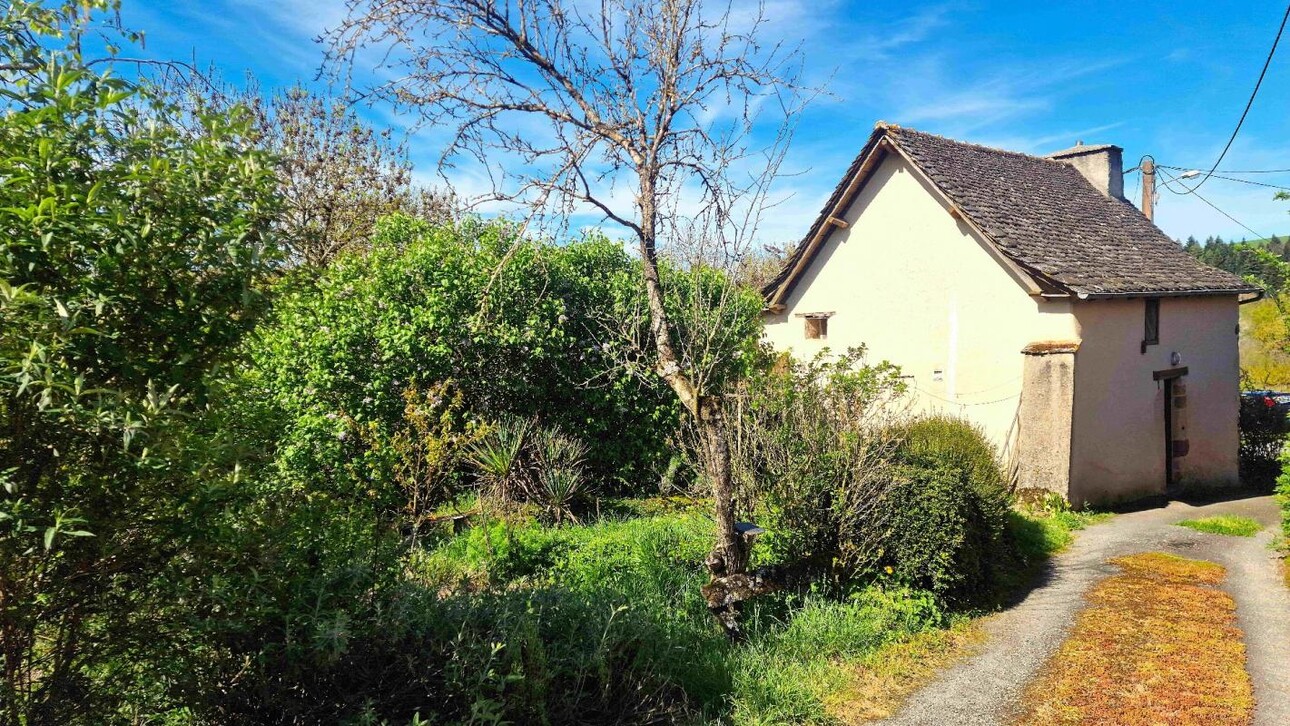 Photos 6 - Tourist - House