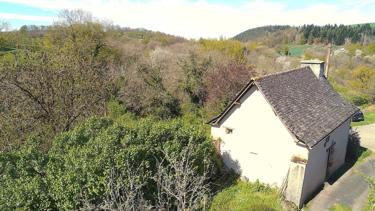 Photos 8 - Tourist - House