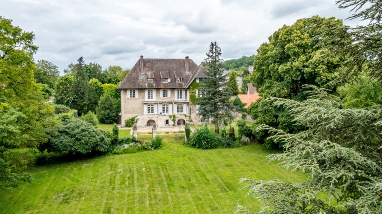Photos 2 - Prestigious - Propriété à vendre 13 pièces MISSY SUR AISNE (02)