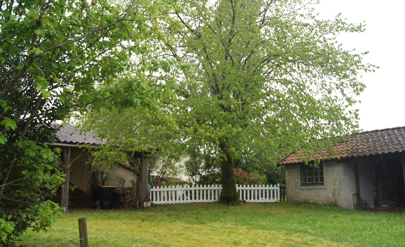 Photos 1 - Agricole - jolie maison avec batiments et 9500 m2 terrain boisé