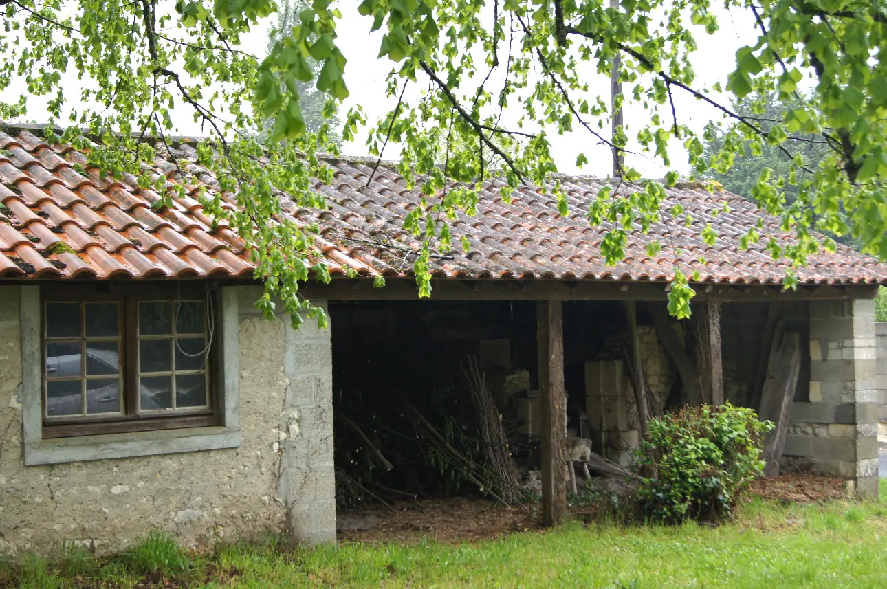 Photos 3 - Agricole - jolie maison avec batiments et 9500 m2 terrain boisé