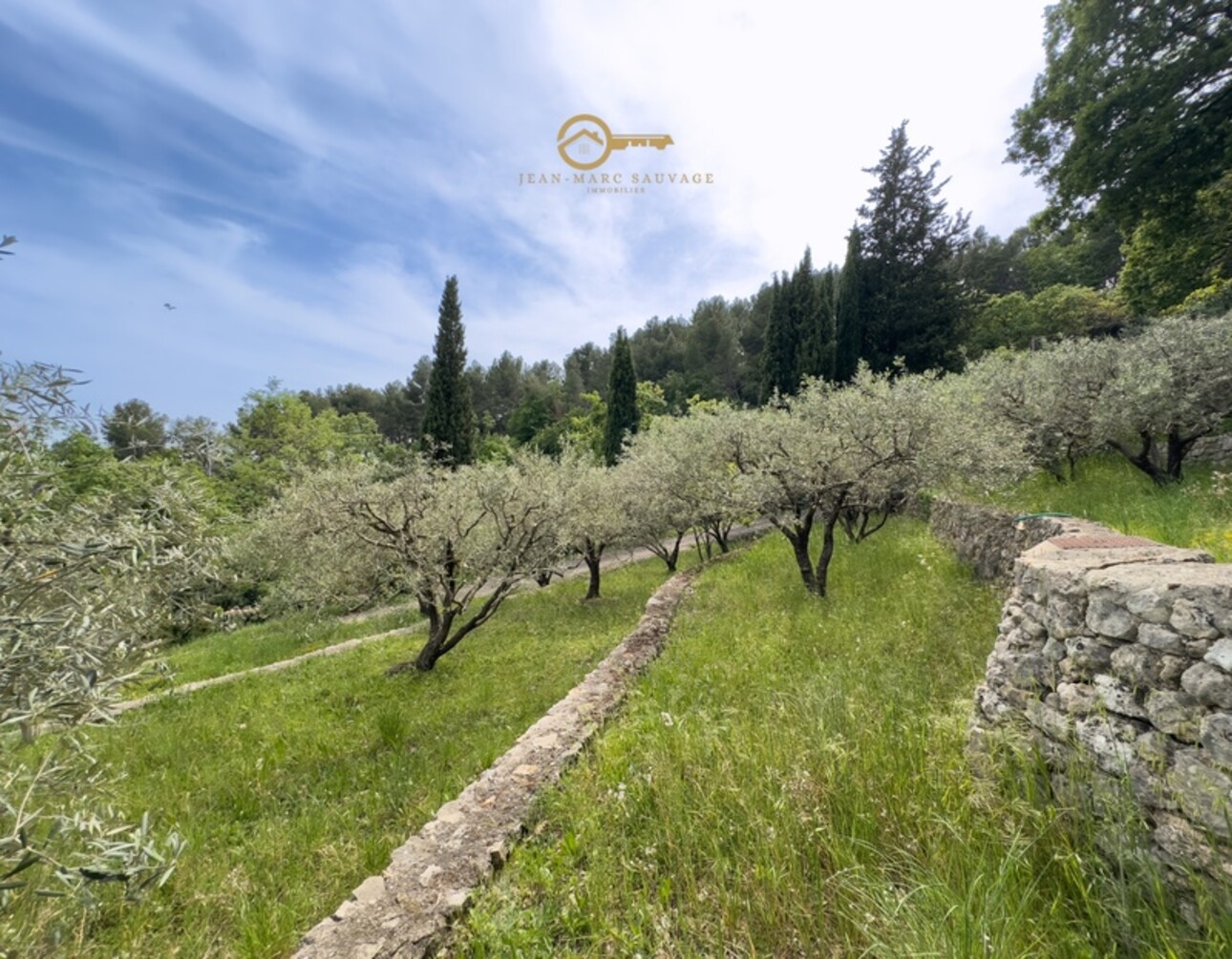 Photos 8 - Tourist - Charming property with view – 2.3 hectares of land – Independent apartment – Fayence