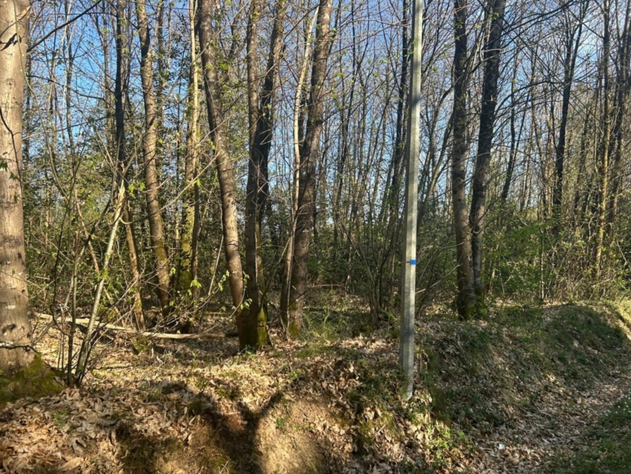 Photos 1 - Foncière - Terrain à vendre  LE VIEIL BAUGE (49)