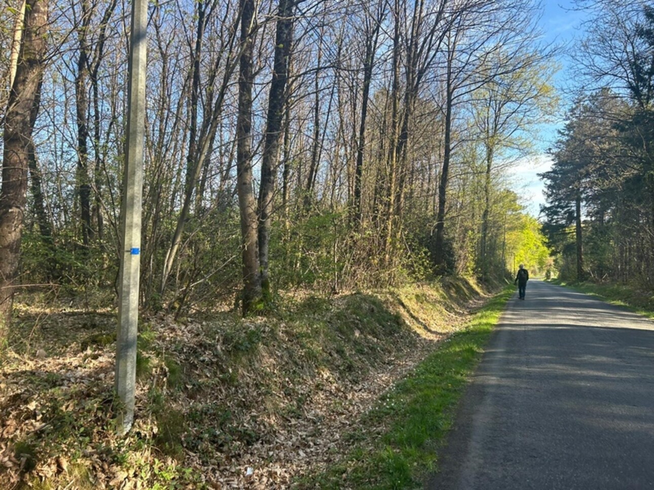 Photos 2 - Foncière - Terrain à vendre  LE VIEIL BAUGE (49)