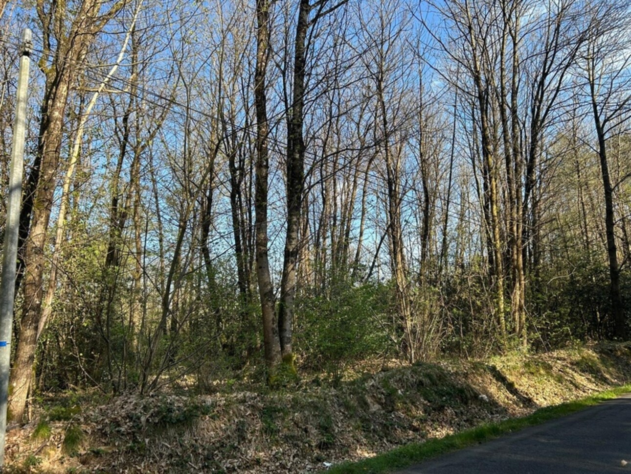 Photos 3 - Foncière - Terrain à vendre  LE VIEIL BAUGE (49)
