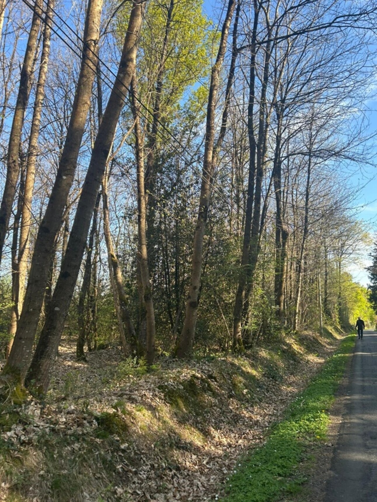 Photos 5 - Foncière - Terrain à vendre  LE VIEIL BAUGE (49)