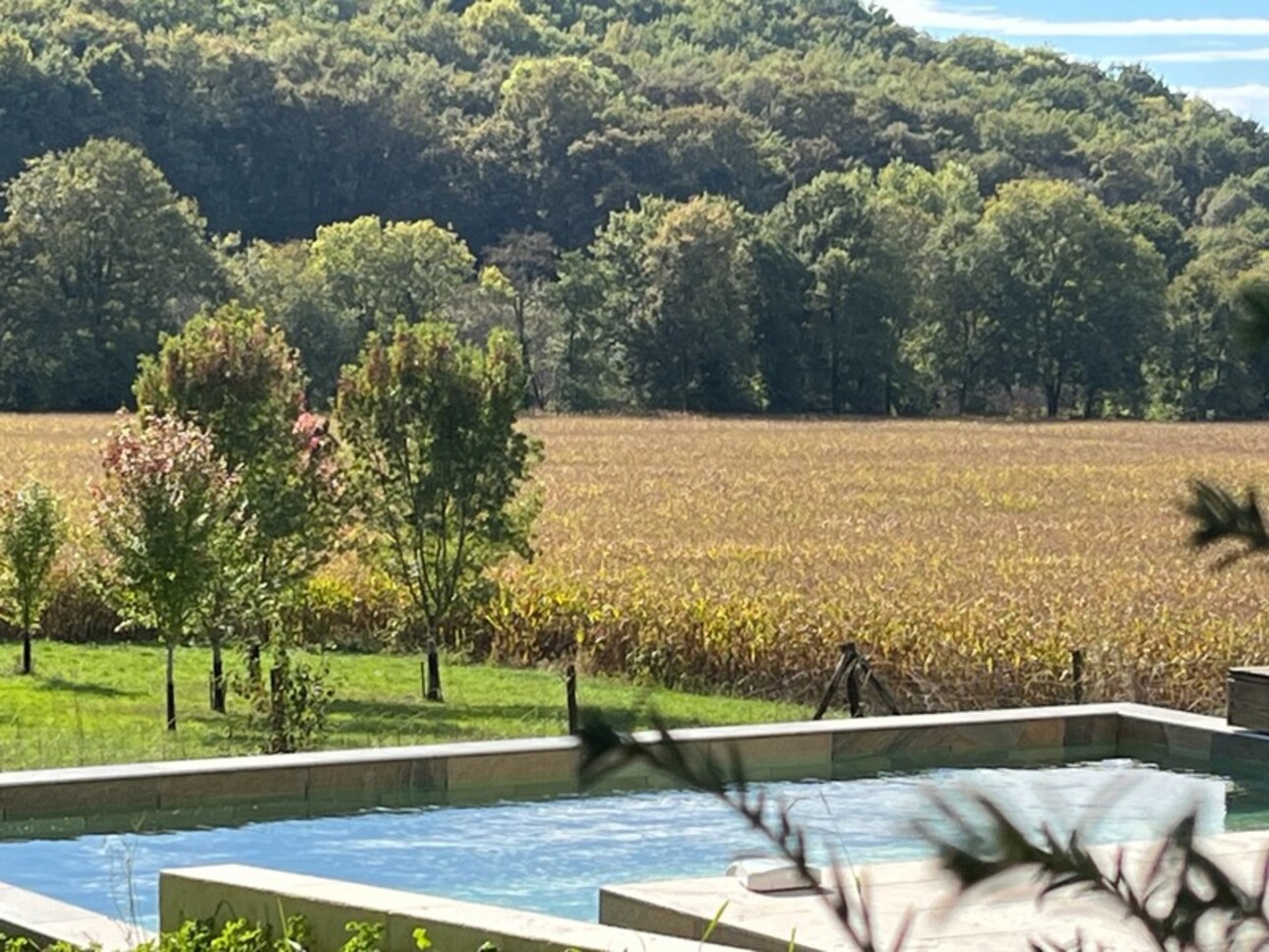 Photos 3 - Prestige - MIELAN 6 minutes: PROPRIETE de CHARME XVIIIs avec VUE, 5 chambres, garage, 1hectare, piscine, rénovation de qualité pour famille ou /et chambres d hôtes
