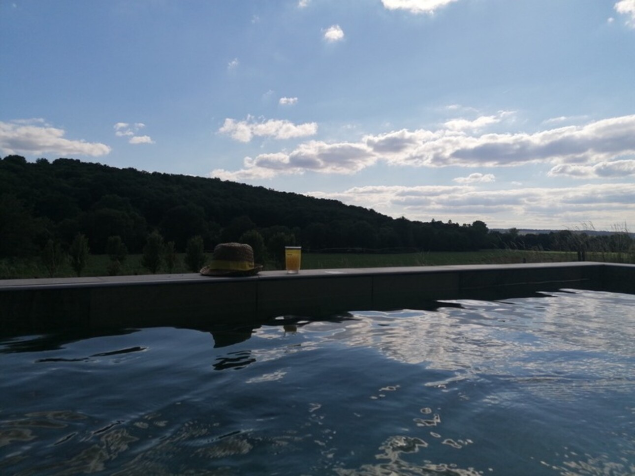 Photos 31 - Prestige - MIELAN 6 minutes: PROPRIETE de CHARME XVIIIs avec VUE, 5 chambres, garage, 1hectare, piscine, rénovation de qualité pour famille ou /et chambres d hôtes