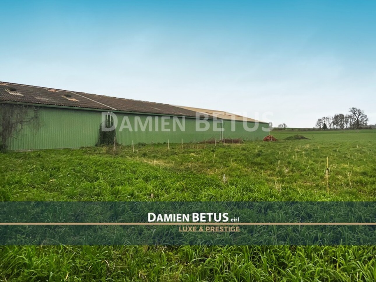 Photos 5 - Agricultural - Dpt Vendée (85), for sale THOUARSAIS BOUILDROUX - Farm buildings and agricultural land