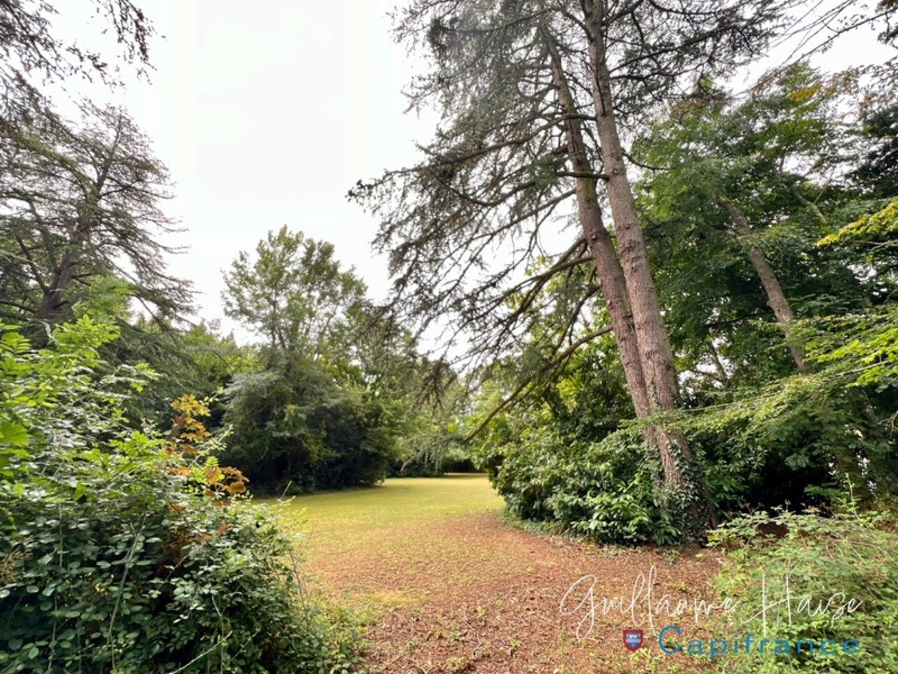 Photos 5 - Prestigious - Propriété de caractère nichée au coeur d'un parc paysager à vendre  NIHERNE (36)
