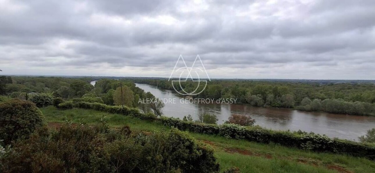 Photos 4 - Prestige - Château fin XIX eme surplombant la Loire avec une vue époustouflante. A rénover