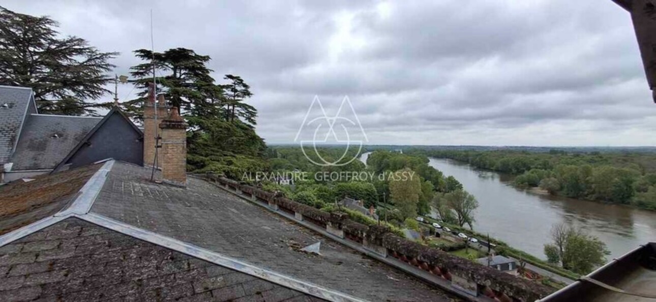 Photos 5 - Prestige - Château fin XIX eme surplombant la Loire avec une vue époustouflante. A rénover