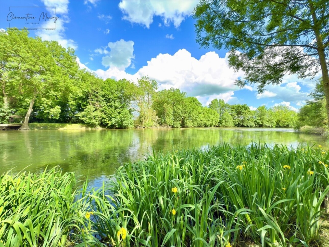 Photos 1 - Foncière - Terrain de loisirs à vendre 1244 m² en bord de Loir – Lunay (41)