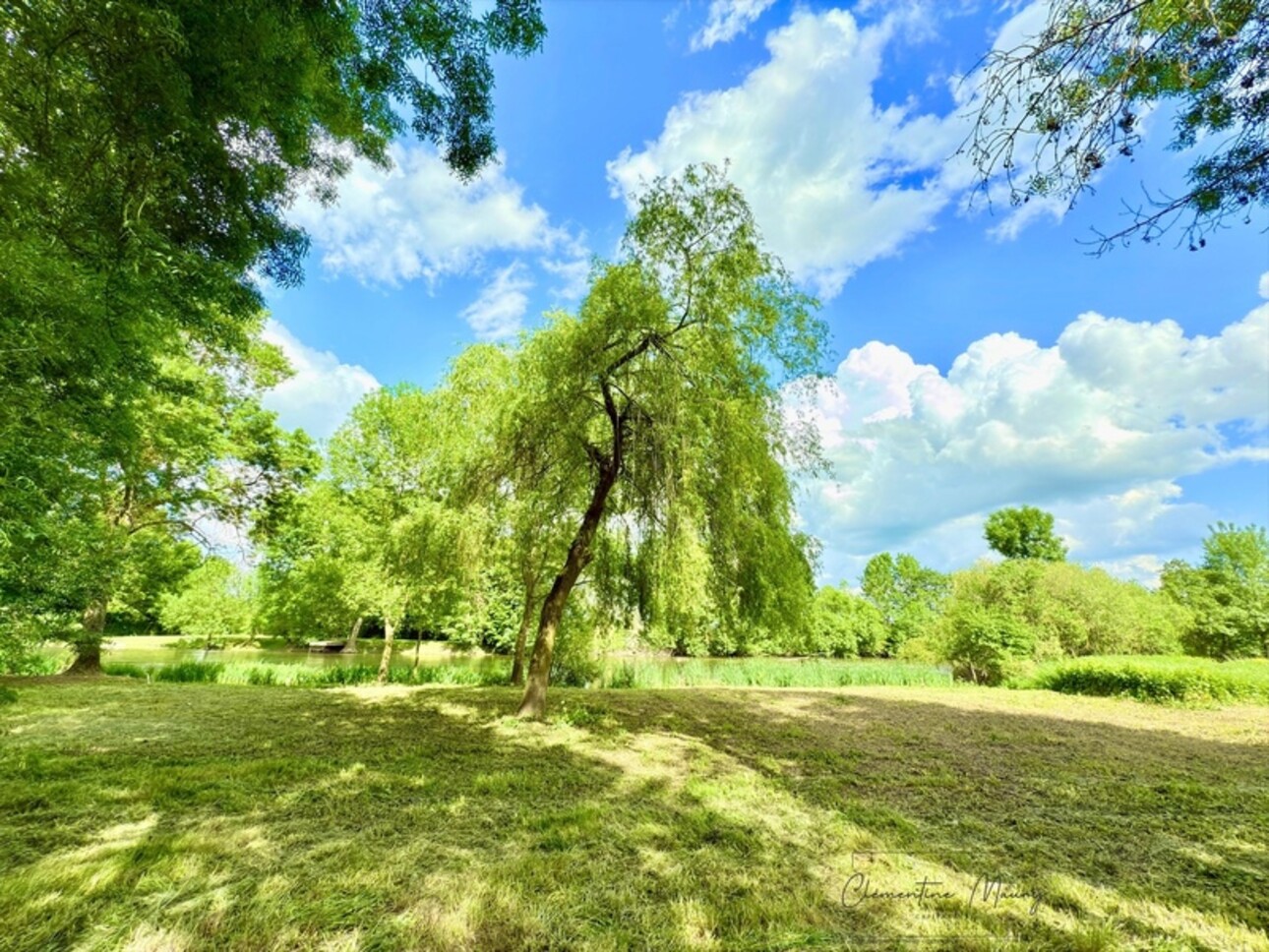 Photos 2 - Foncière - Terrain de loisirs à vendre 1244 m² en bord de Loir – Lunay (41)